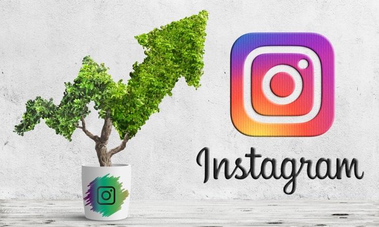 What You Need to Know About Instagram Growth Services